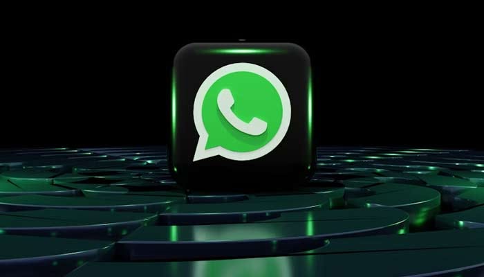 如何利用WhatsApp群发提高企业营销效率？