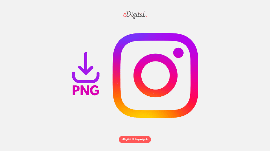 Want to Accurately Acquire Effective User Data? Instagram Category Data Can Help You Do It