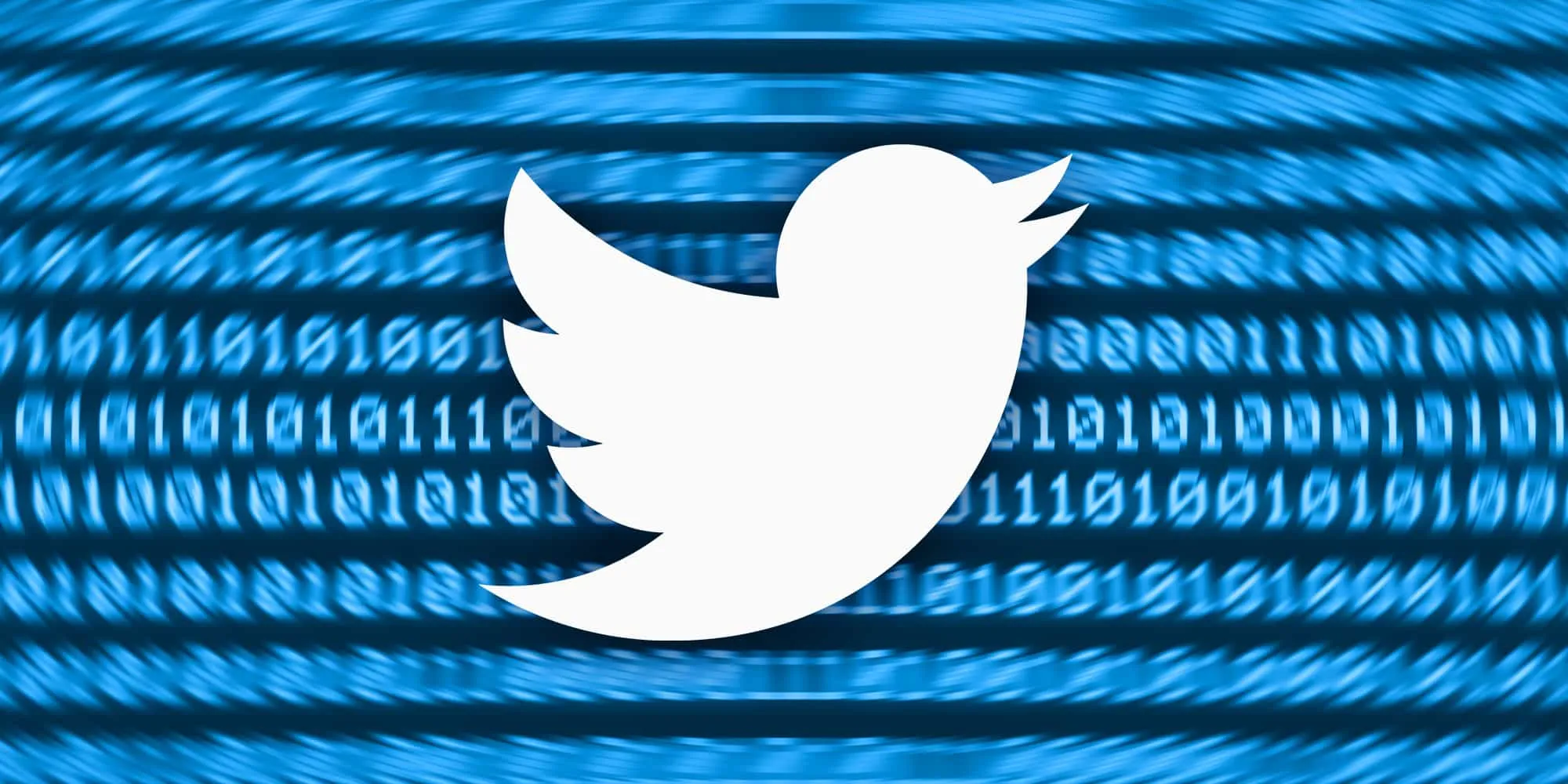 Secrets for Rapidly Growing Followers on WhatsApp