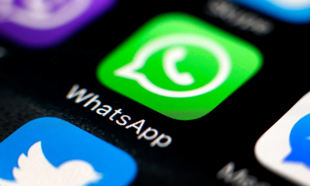 Insights into Overseas Platform Profile Photos Trends: The Core Value of WhatsApp Data Detection