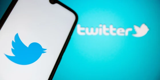 Assess Telegram user activity to improve social marketing effectiveness