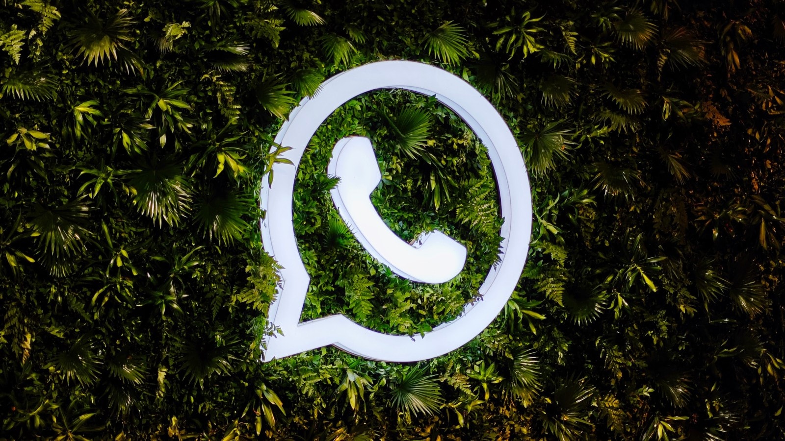 VKontakte Global Data Monitoring